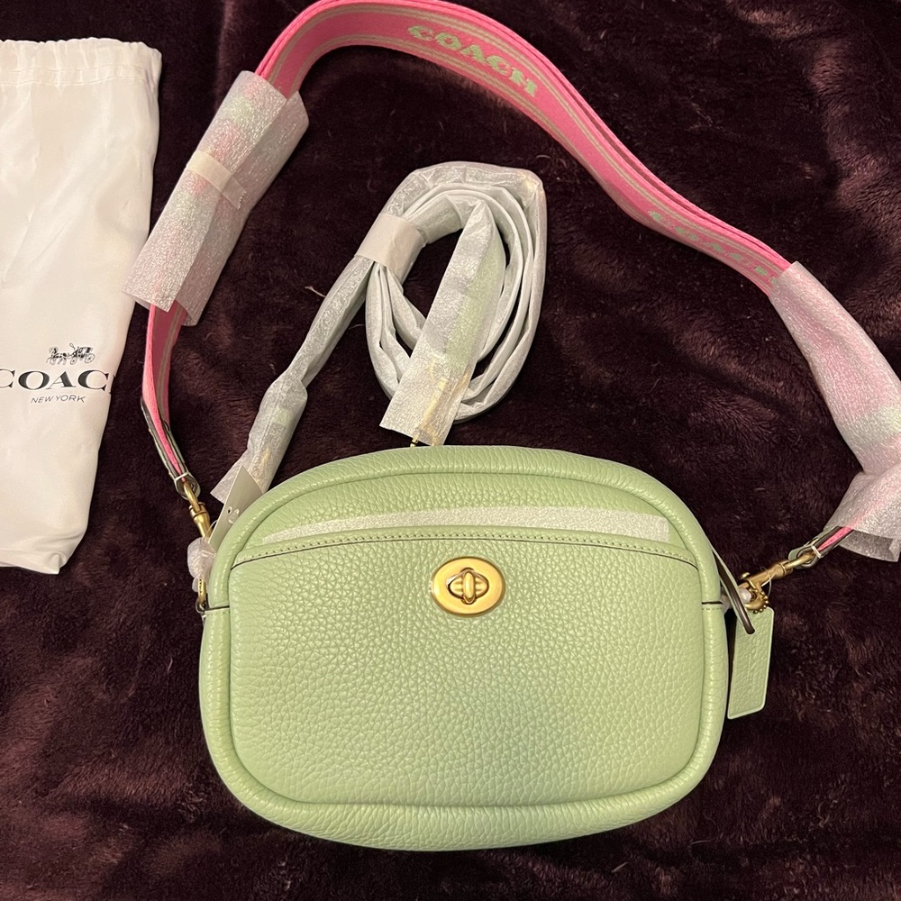 Pal pistachio coach camera bag/Purse